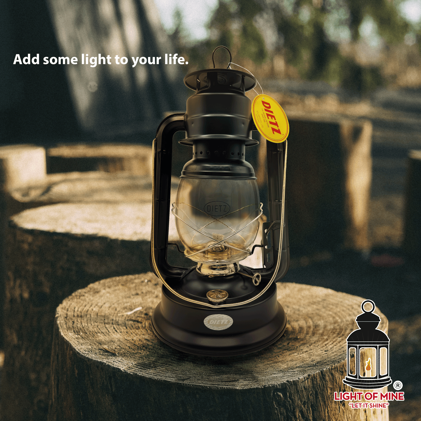 Light Of Mine - Dietz #90 D-Lite Black with Gold Trim Oil Lantern with 7/8" Replacement Wick Strips (Black with Gold Trim)