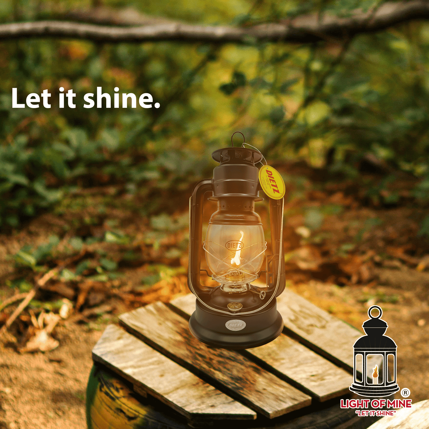 Light of Mine - Dietz #2500 Jupiter and #90 D-Lite Replacement Kit Including Globe and 100% Cotton 7/8" Wick Strips (D-Lite/Jupiter)