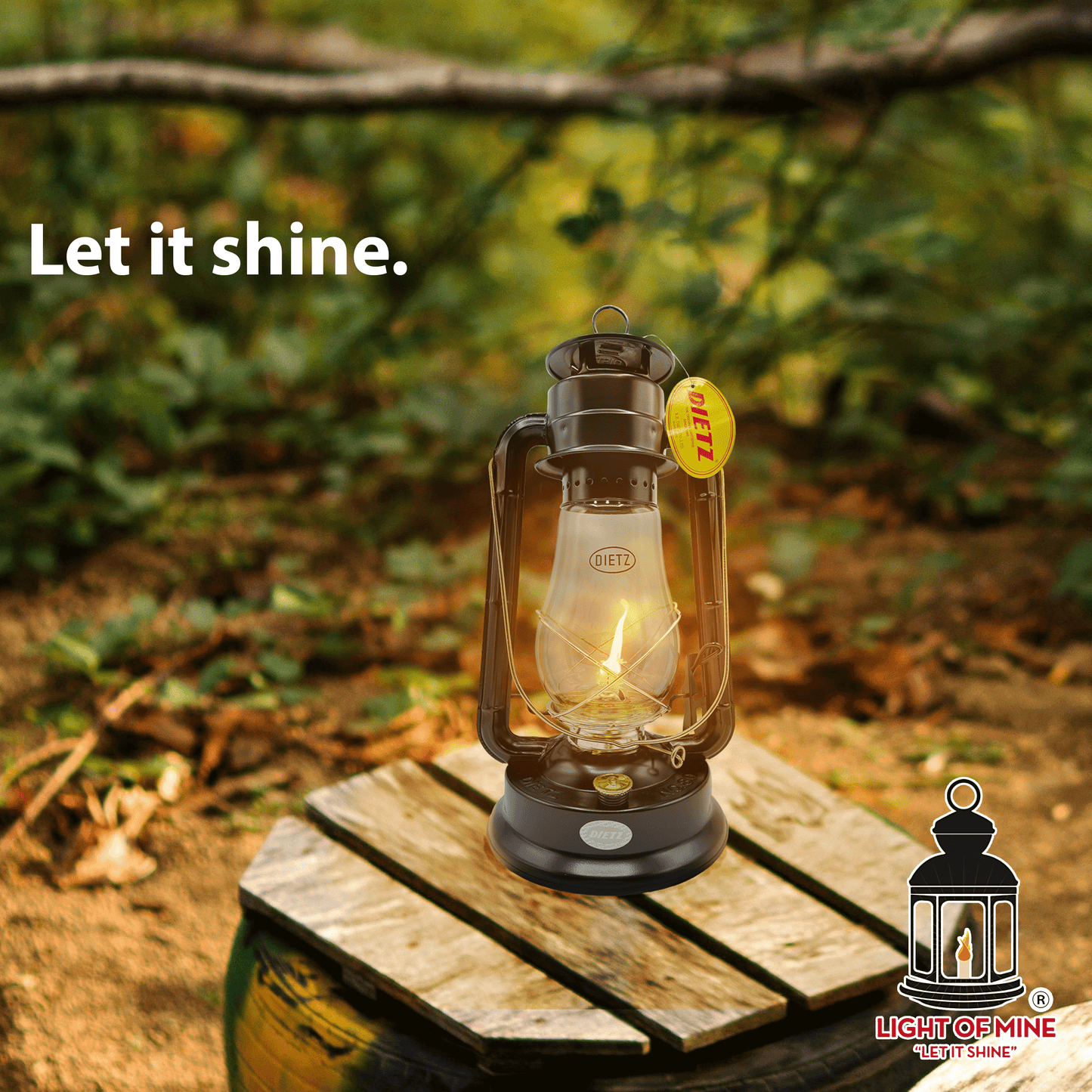 Light of Mine - Dietz #80 Blizzard/#10 Monarch Replacement Kit Including Globe, Burner, and 7/8" Wick Strips (#80, #10)