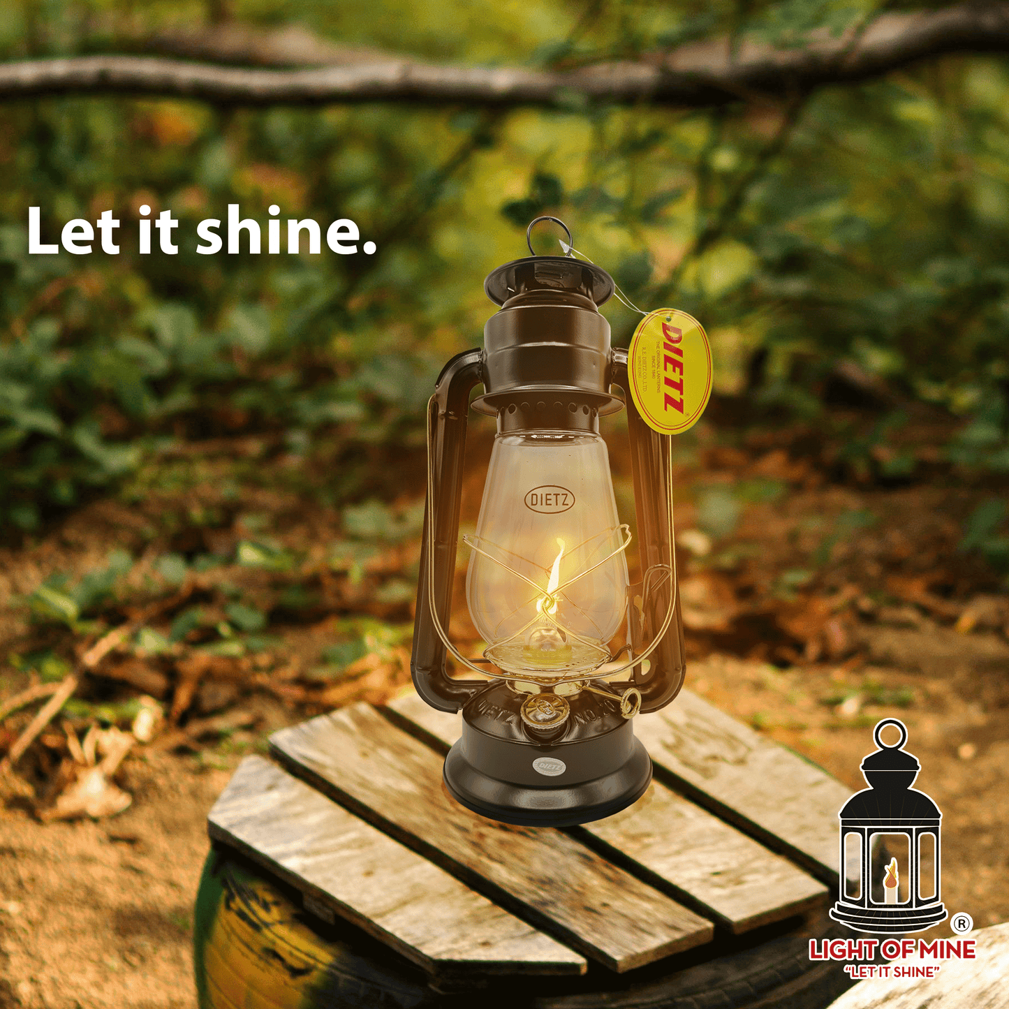 Light of Mine #20 Dietz Junior Replacement Globe
