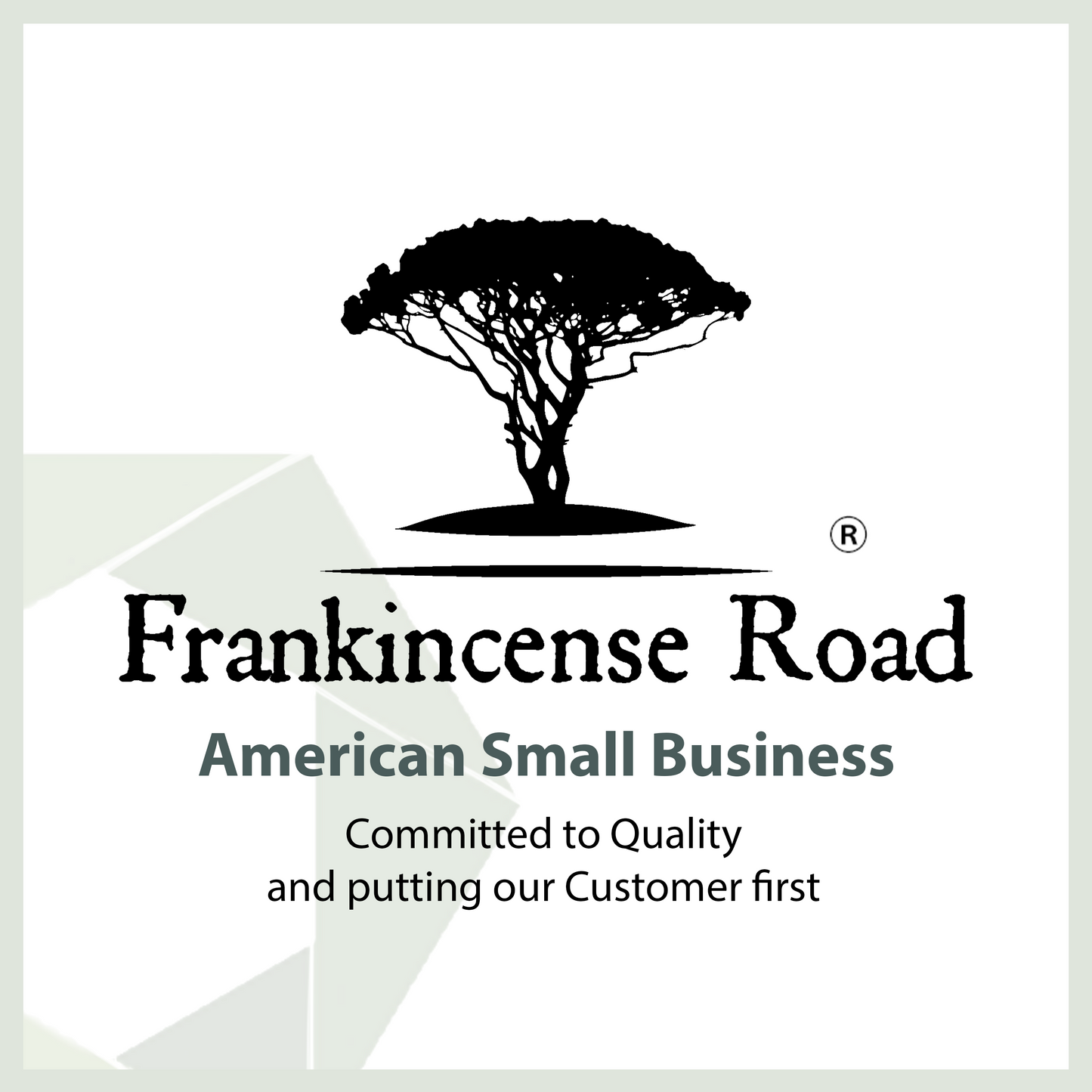 Life Tree Trading - 100% Pure Sacred Frankincense Essential Oil of Oman | Undiluted and Highest Grade for Immunity | Promotes Healthy Function of Immune System, and Soothes Skin Irritation | For Diffusion and Topical Application - 10 ml